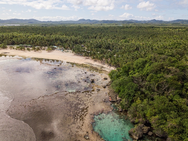 Toma aérea de una costa del océano con playa de arena y vegetación en primer plano