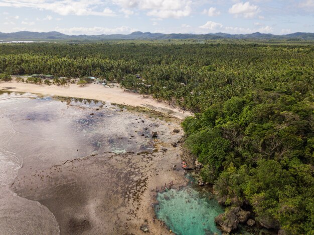 Toma aérea de una costa del océano con playa de arena y vegetación en primer plano