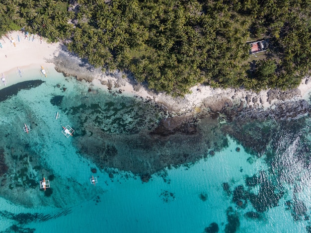 Toma aérea de una costa del océano con playa de arena y vegetación en primer plano