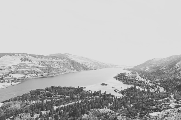 Toma aérea en escala de grises de un hermoso paisaje con un lago y abetos en las montañas