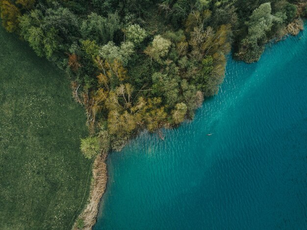 Toma aérea de un hermoso bosque de árboles en la costa del mar