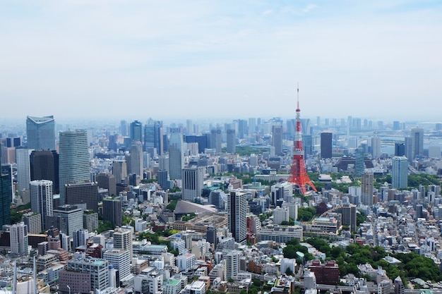 Toma aérea de un hermoso horizonte de Tokio, Japón