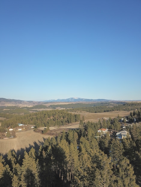 Foto gratuita toma aérea del hermoso paisaje forestal bajo la luz del sol