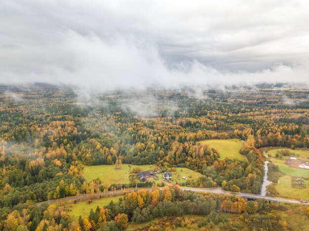 Toma aérea impresionante del bosque otoñal cubierto por densas nubes