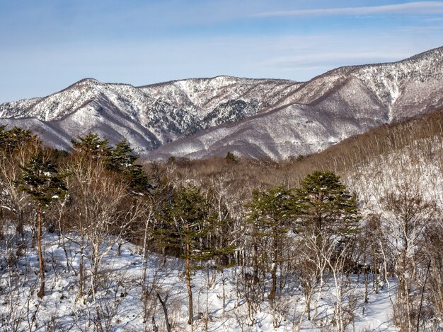 Toma aérea de la ladera de la montaña Shiga Kogen dañada en la Prefectura de Nagano, Japón