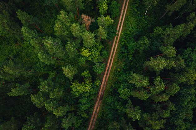 Toma aérea de un largo camino rodeado de árboles y verdes