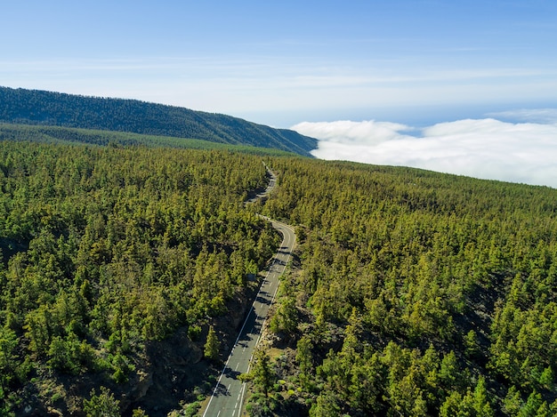 Toma aérea de un largo camino a través del bosque verde, celaje escénico en el fondo