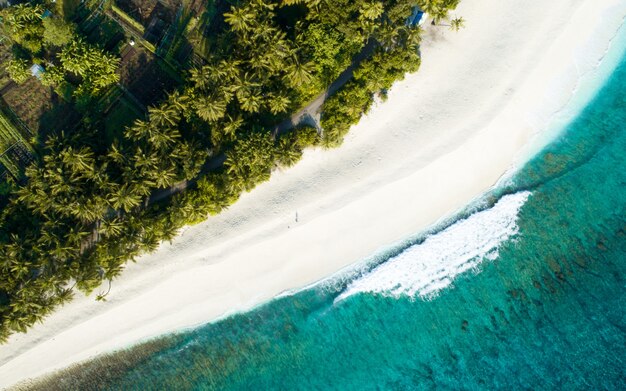 Toma aérea de Maldivas mostrando la increíble playa, el mar azul claro y las selvas