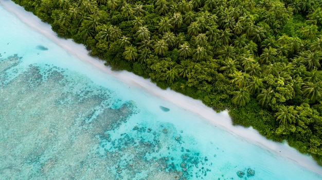 Toma aérea de Maldivas mostrando la increíble playa, el mar azul claro y las selvas