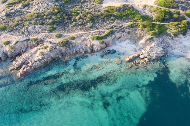 Toma aérea de un mar azul cristalino rodeado por una orilla del mar con árboles