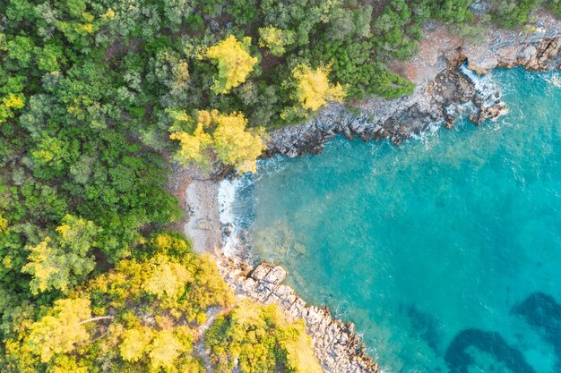 Toma aérea del mar y el bosque en la bahía de Marmaris Boncuk, Turquía