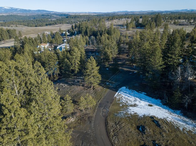 Toma aérea de un paisaje forestal con un camino rural bajo la luz del sol