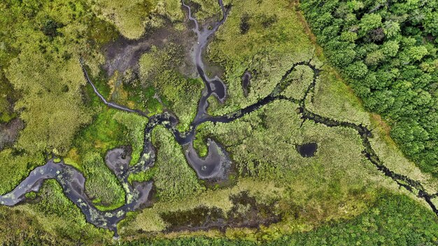 Toma aérea del paisaje de la hermosa vegetación del campo