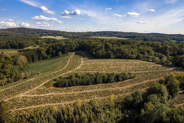 Toma aérea de un paisaje de montaña cubierto de árboles