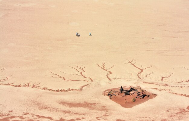Toma aérea de personas de pie cerca del desierto agrietado durante el día