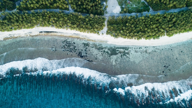 Toma aérea de la playa con las olas del mar y la jungla de Maldivas