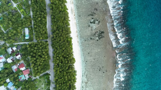 Toma aérea de la playa con las olas del mar y la jungla de Maldivas