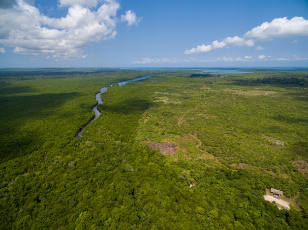 Toma aérea de un río atravesando un campo verde tropical capturado en Zanzíbar, África