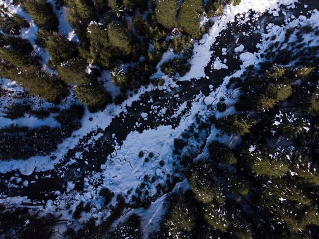 Toma aérea de un río congelado en el bosque en invierno