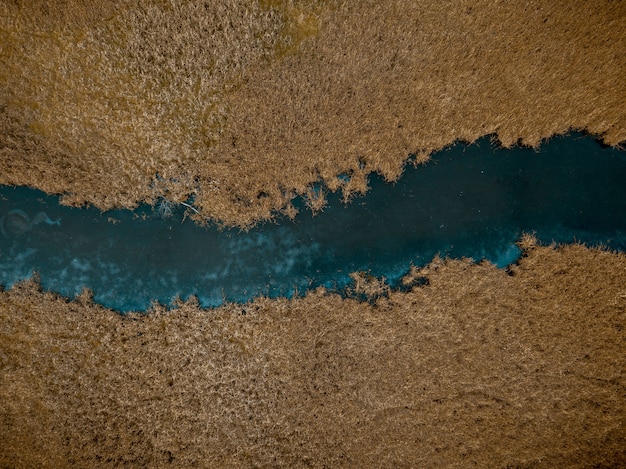 Toma aérea de un río en medio de árboles de hojas marrones