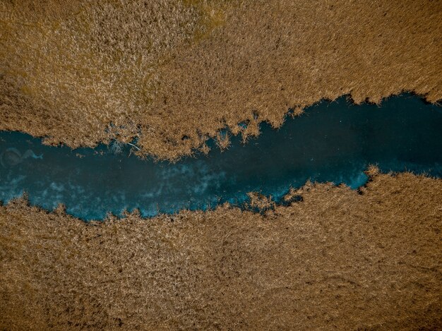 Toma aérea de un río en medio de árboles de hojas marrones