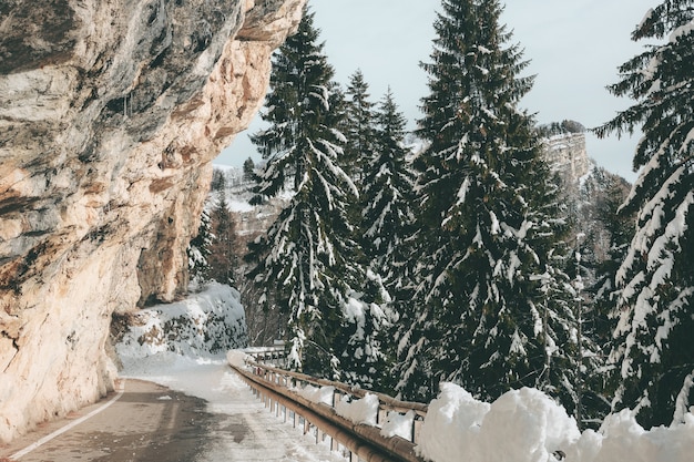 Toma horizontal de una carretera entre las altas montañas rocosas y los abetos cubiertos de nieve