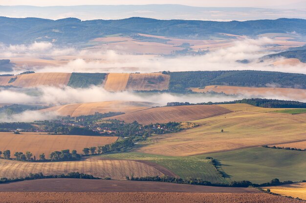 Toma de paisaje de hermosos campos de hierba amarilla en una zona rural