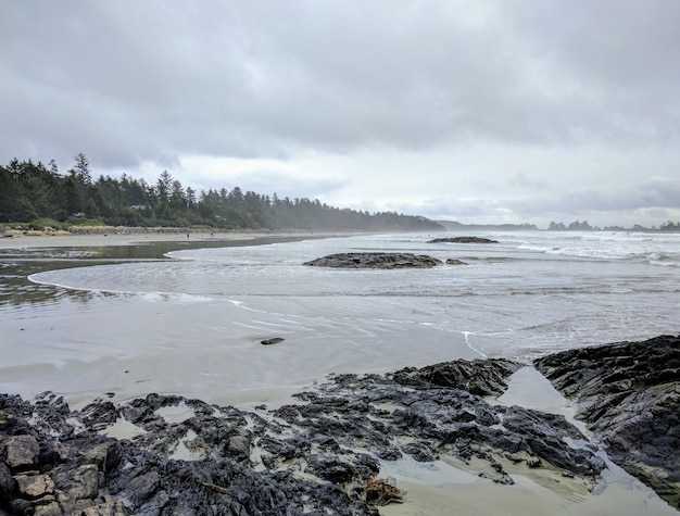 Toma de paisaje de una playa rocosa durante nublado con árboles