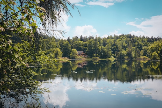 Toma panorámica de un hermoso lago rodeado de árboles verdes y una casa aislada bajo el cielo nublado