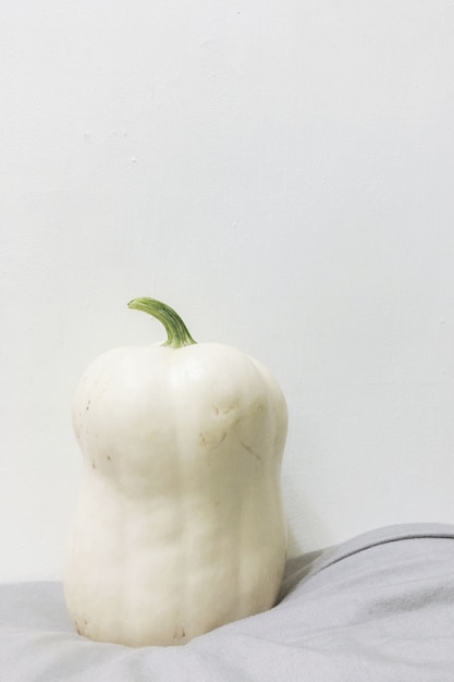 Foto gratuita toma de primer plano de una calabaza blanca