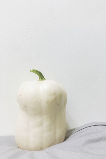 Toma de primer plano de una calabaza blanca