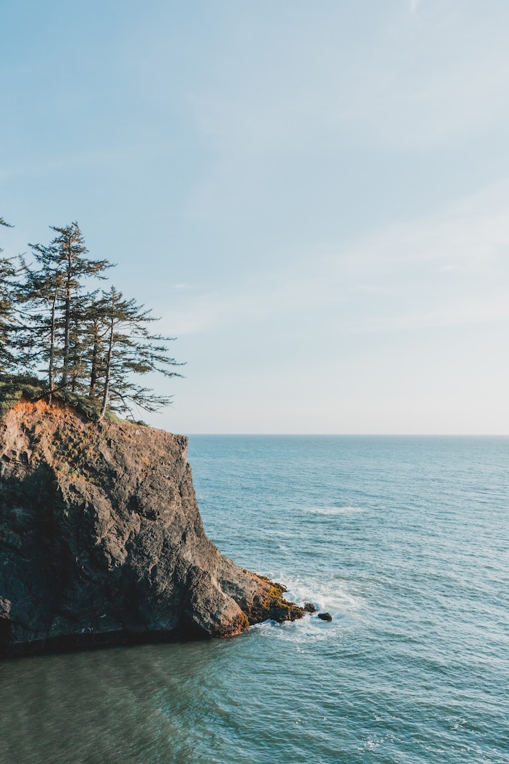 Foto gratuito toma vertical del hermoso mar con acantilados rocosos y árboles a un lado