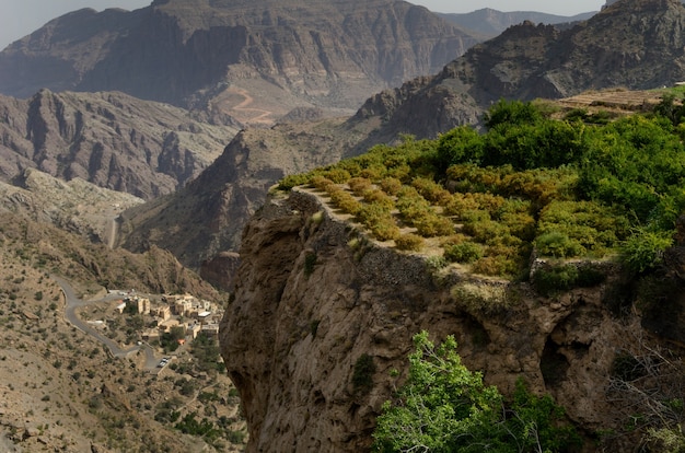 Toma a vista de pájaro de enormes y pintorescas montañas y acantilados parcialmente cubiertos de árboles verdes