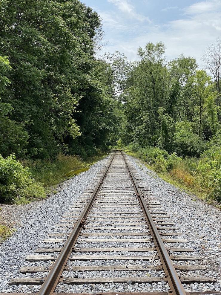 Foto gratuito tomada vertical de rieles de tren rodeados de árboles