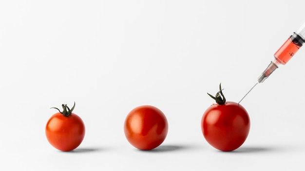 Tomates cherry de alimentos modificados con productos químicos transgénicos