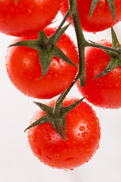 Tomates cherry frescos en una rama