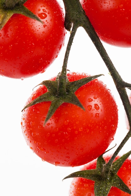 Tomates cherry frescos en una rama