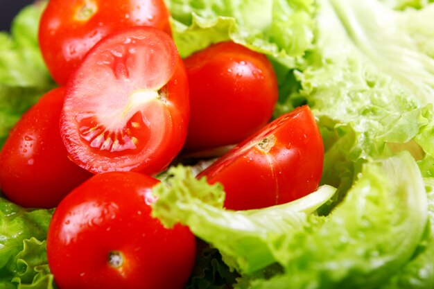 Tomates frescos y húmedos