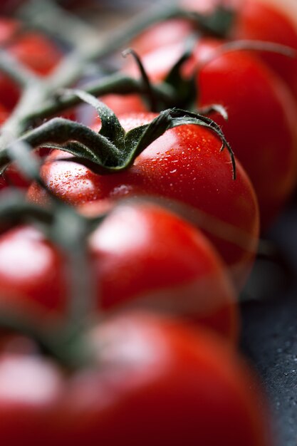 Tomates frescos en una rama