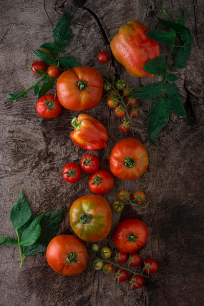 Tomates de vista superior sobre fondo de estuco