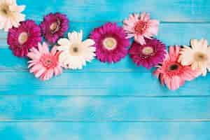 Foto gratuita tonos de flores rosadas en la mesa azul