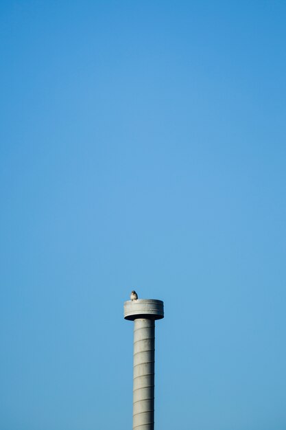 Torre de cemento con pájaro