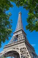 Foto gratuita torre eifel con árbol en cielo azul, parís.