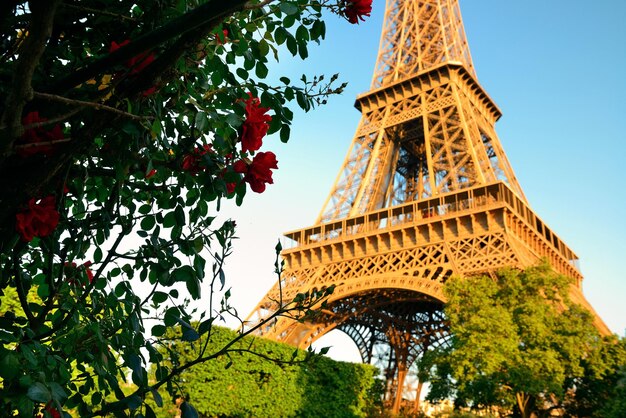 Torre Eiffel y flor en jardín en París