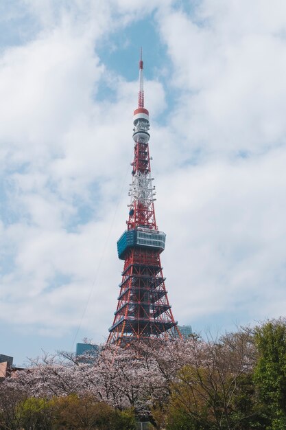 Torre de Tokio en Sakura