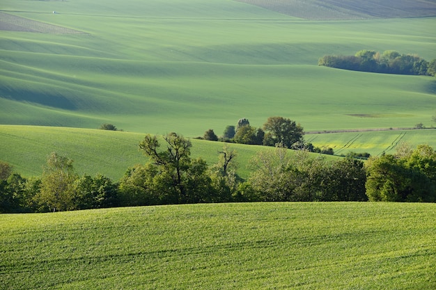 Toscana de Moravian - paisaje hermoso de la primavera en Moravia del sur cerca de la ciudad de Kyjov. República Checa - E