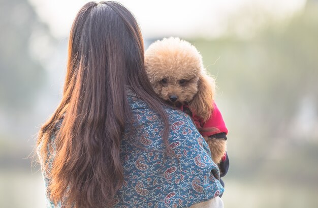 Toy Poodle jugando con su maestro femenino