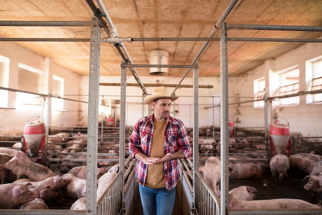 Trabajador agrícola caminando por jaulas de cerdos