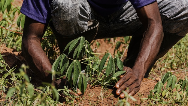 Trabajador de campo plantando en el campo