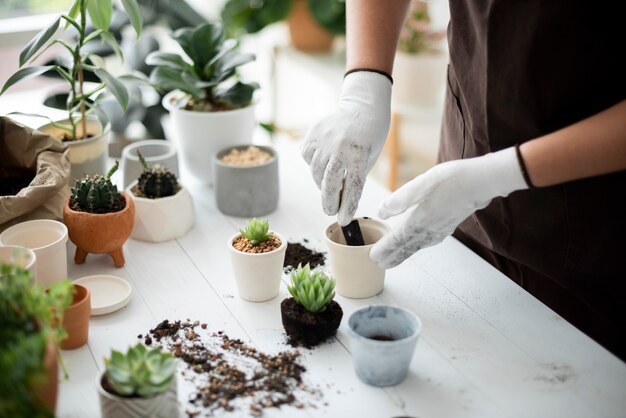 Trabajador de vivero de plantas profesional trasplante de una planta